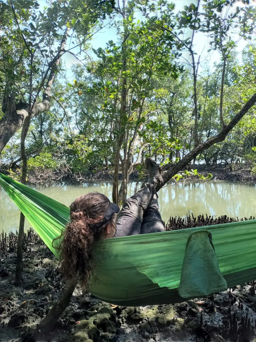 Fieldwork among mangrove trees and tidal water